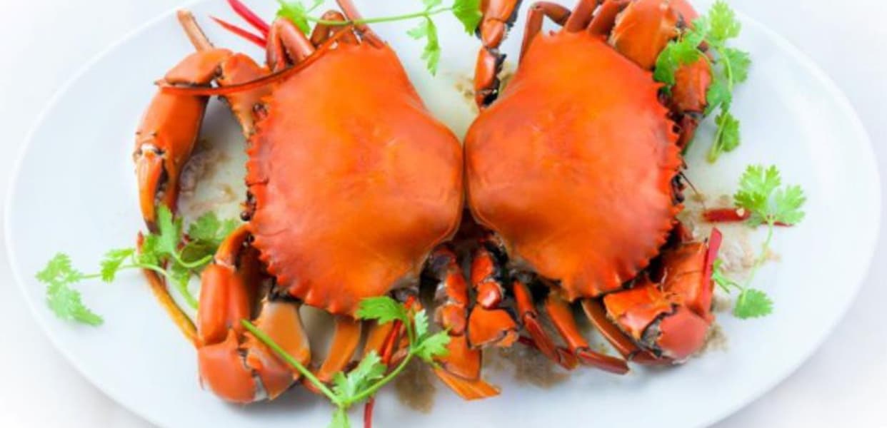 Hình ảnh Hoàng Huy - Cua Biển Bạc Liêu - Đường 25