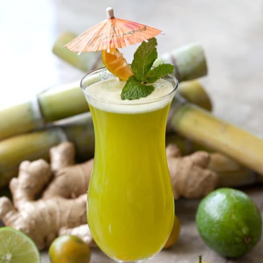 Hình ảnh Mía Nhà Sữa - Nguyễn Thái Sơn