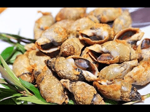 Hình ảnh Ốc Ngon - Kênh Tân Hóa 