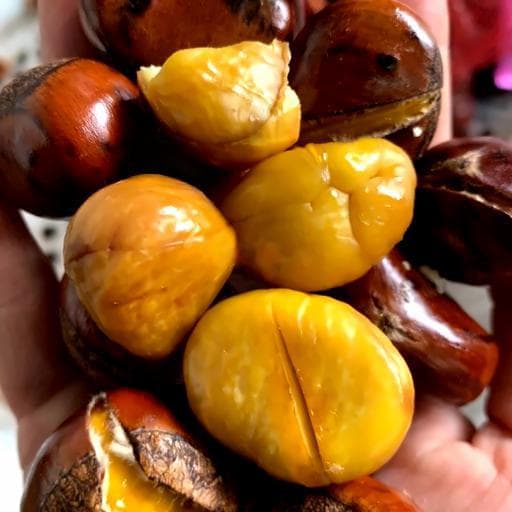 Hình ảnh Hạt Dẻ Kasa - Đường Số 2