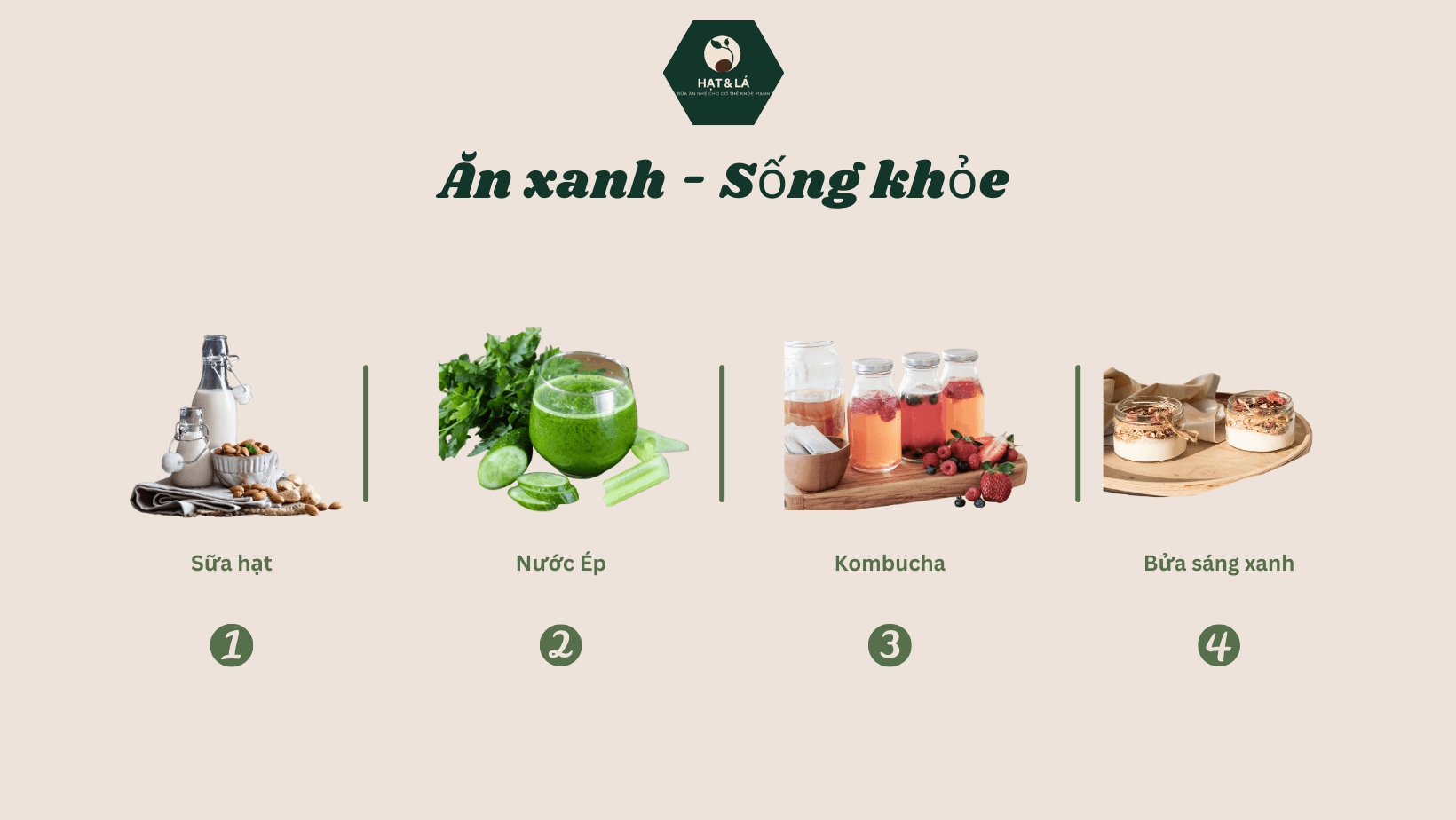 Hình ảnh Hạt & Lá - Healthy Food & Drink - Lý Chiêu Hoàng