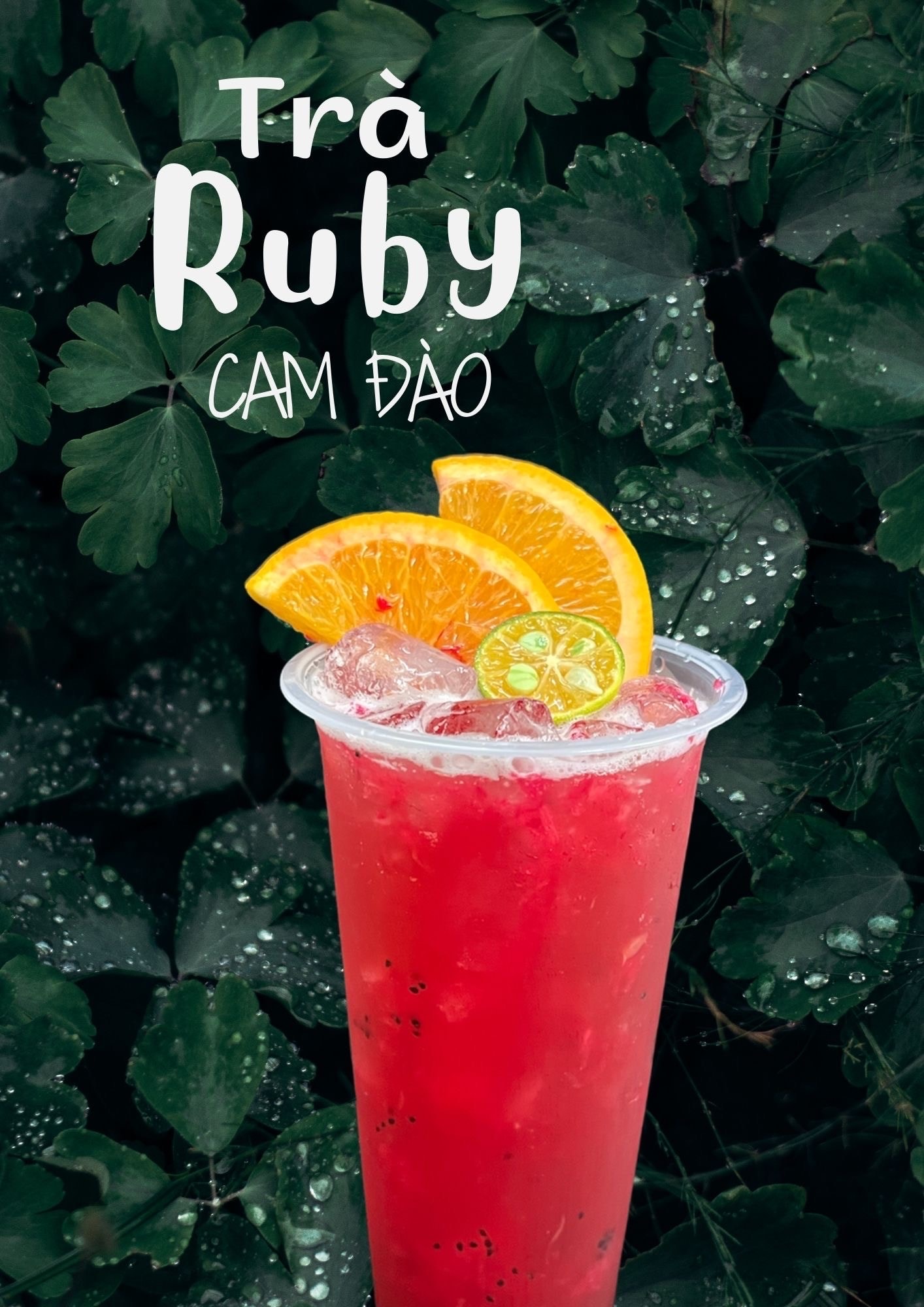 Hình ảnh Trà ruby cam đào