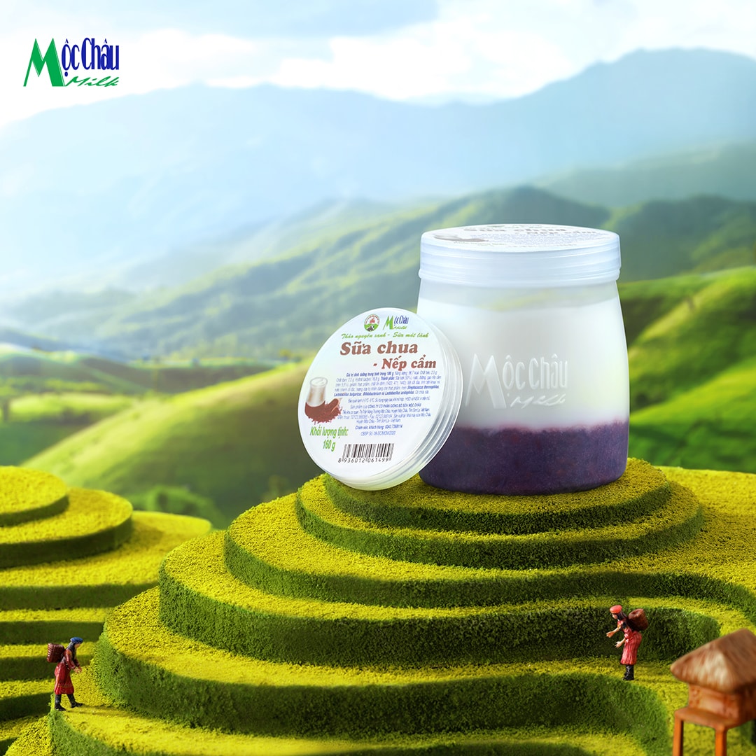 Hình ảnh SCA MCM nếp cẩm 120gr - hộp 12 hũ