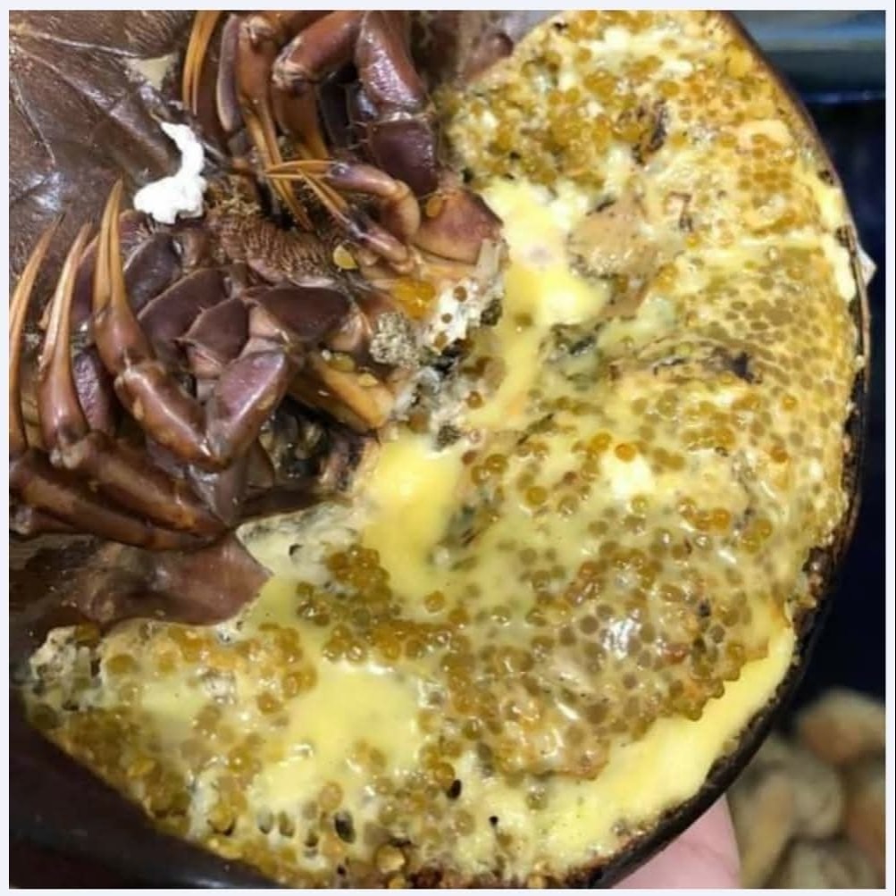 Hình ảnh SAM BUNG NƯỚNG PHOMAI