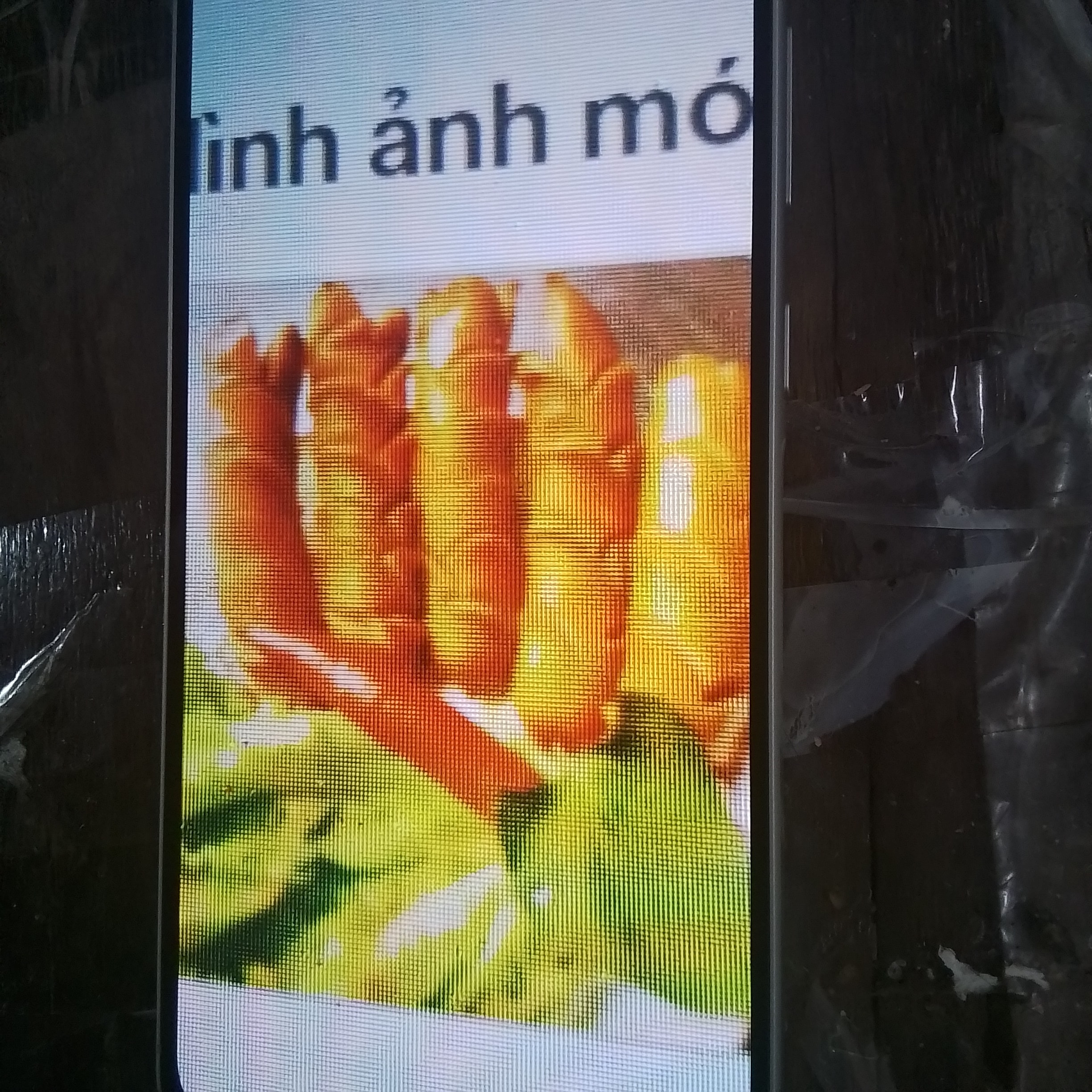 Hình ảnh 2 XÚC XÍCH NƯỚNG