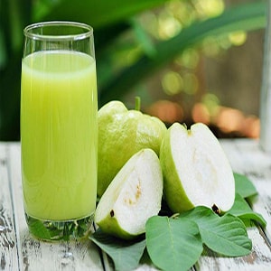 Hình ảnh Cóc ổi (SizeL)