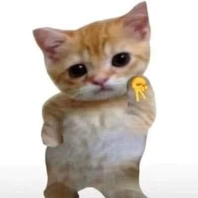 Hình ảnh Mì trộn đùi gà