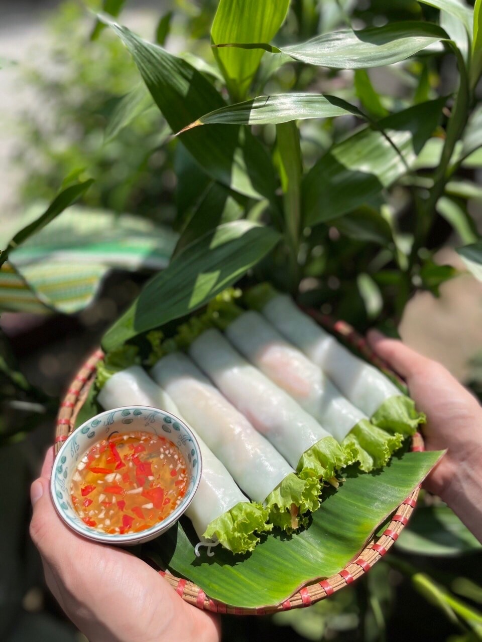 Hình ảnh Phở cuốn bò (5 cái)