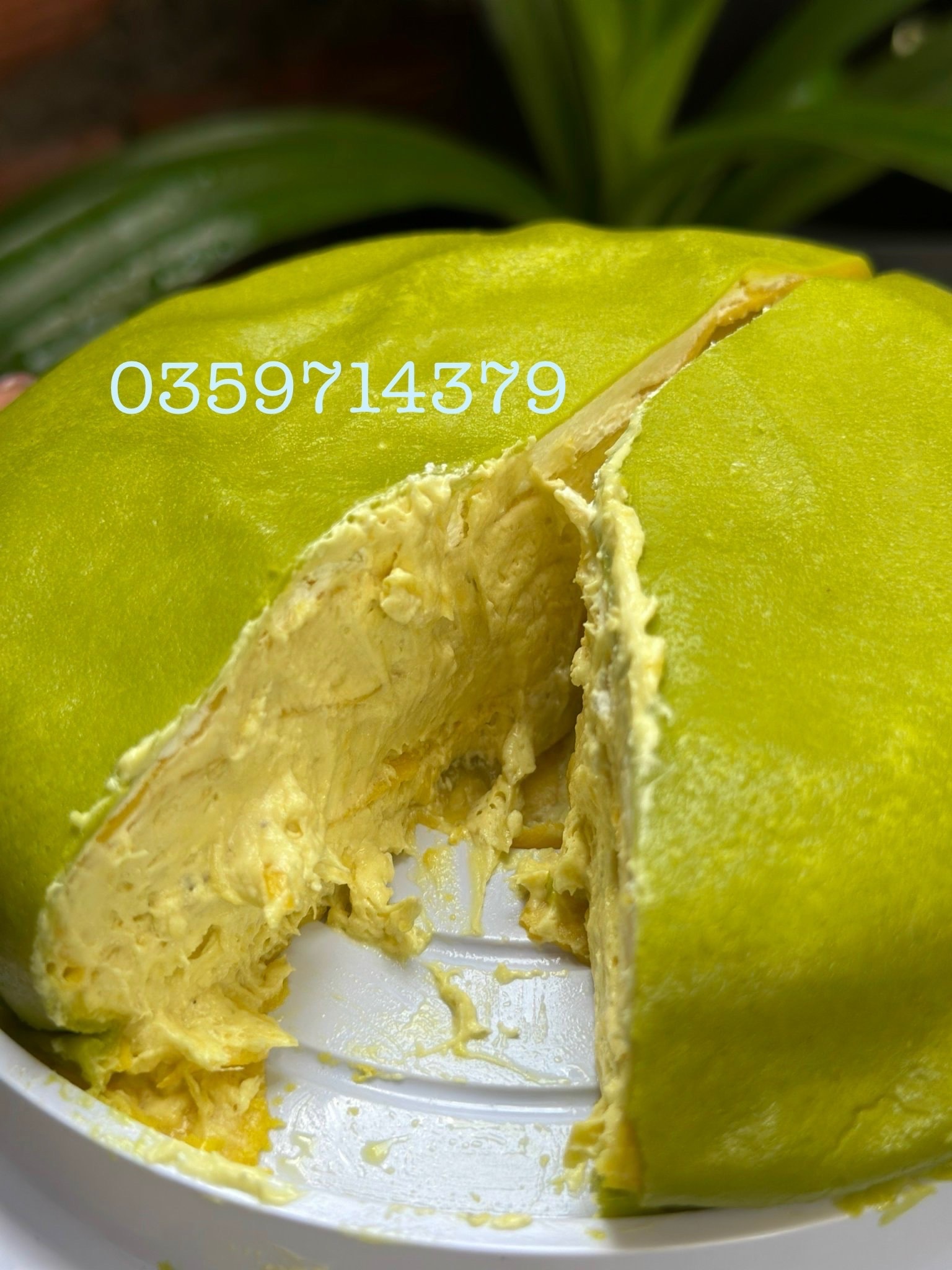 Hình ảnh Bánh crepe lá dứa size 14
