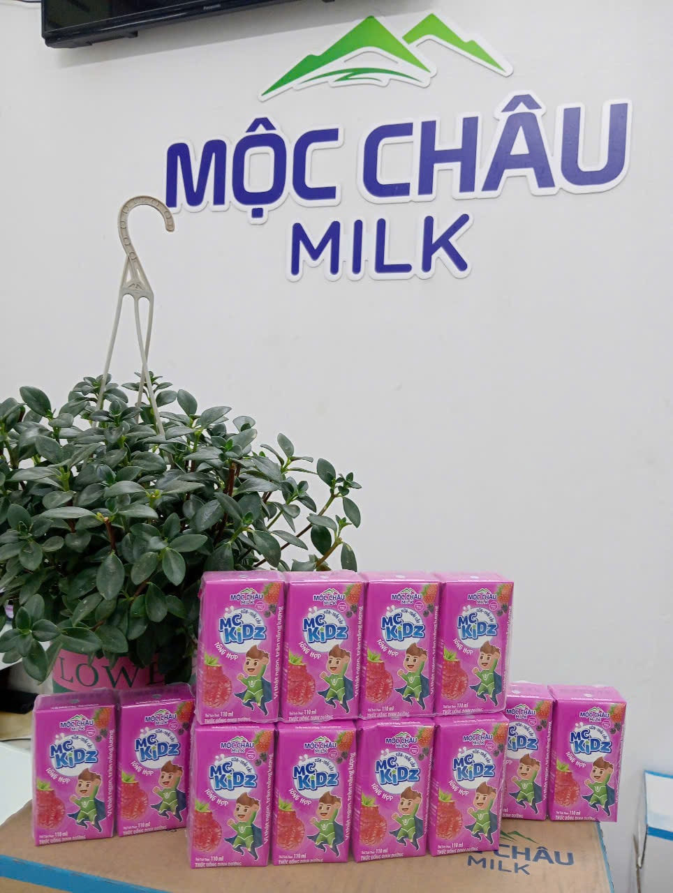 Hình ảnh  MC kidz sữa - trái cây các vị 110ml x 24 hộp