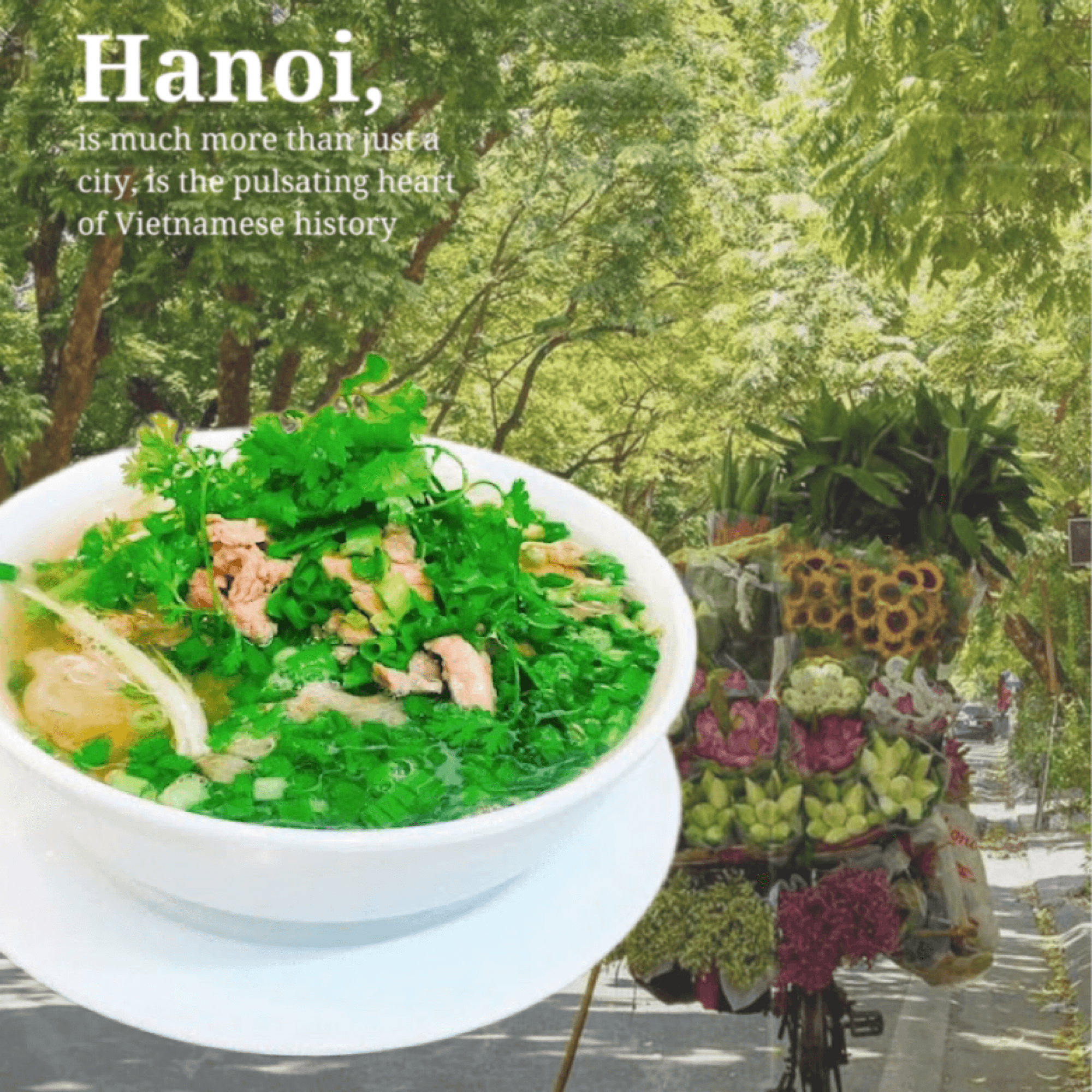 Hình ảnh Phở Tái