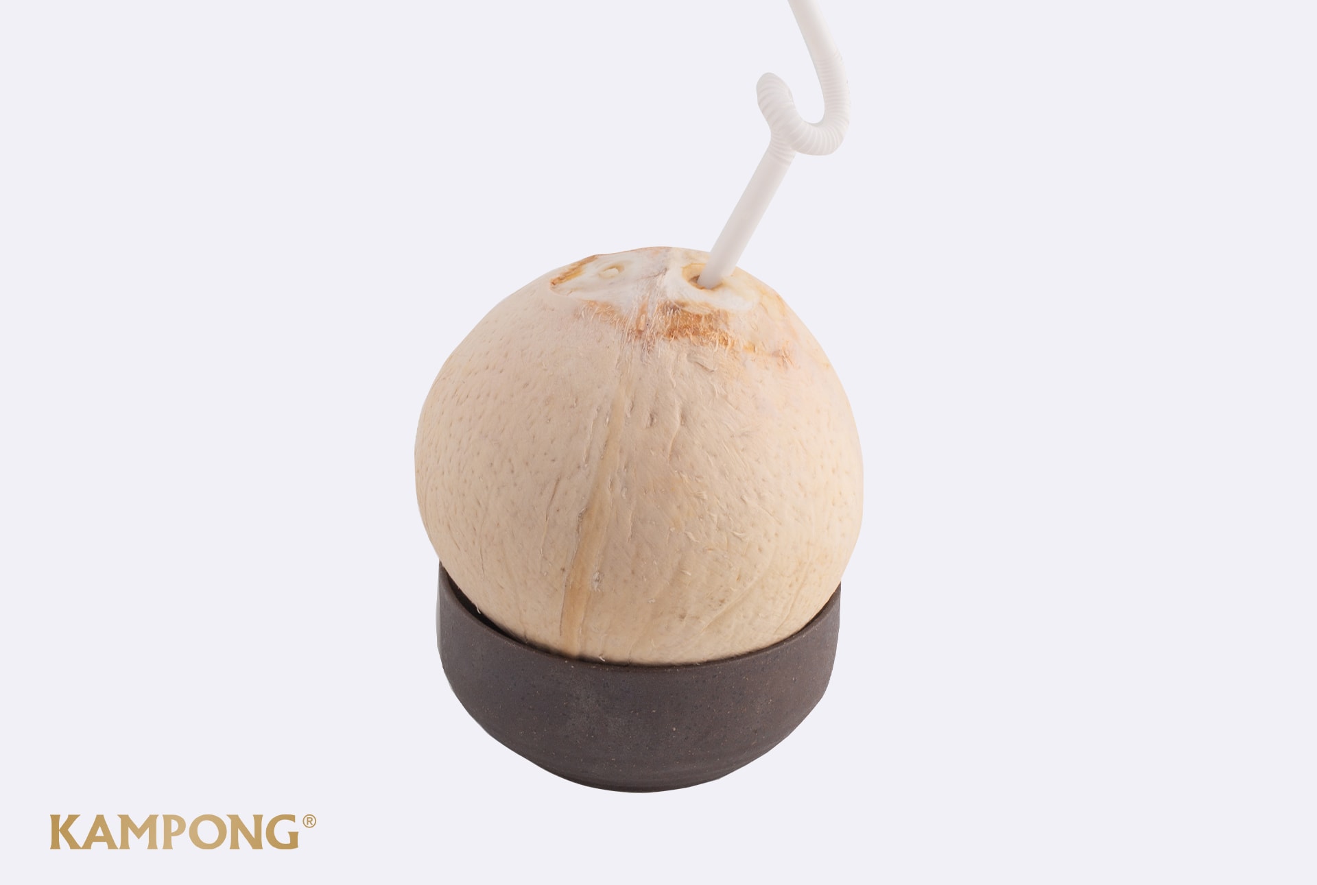 Hình ảnh Dừa xiêm Kampong -D
