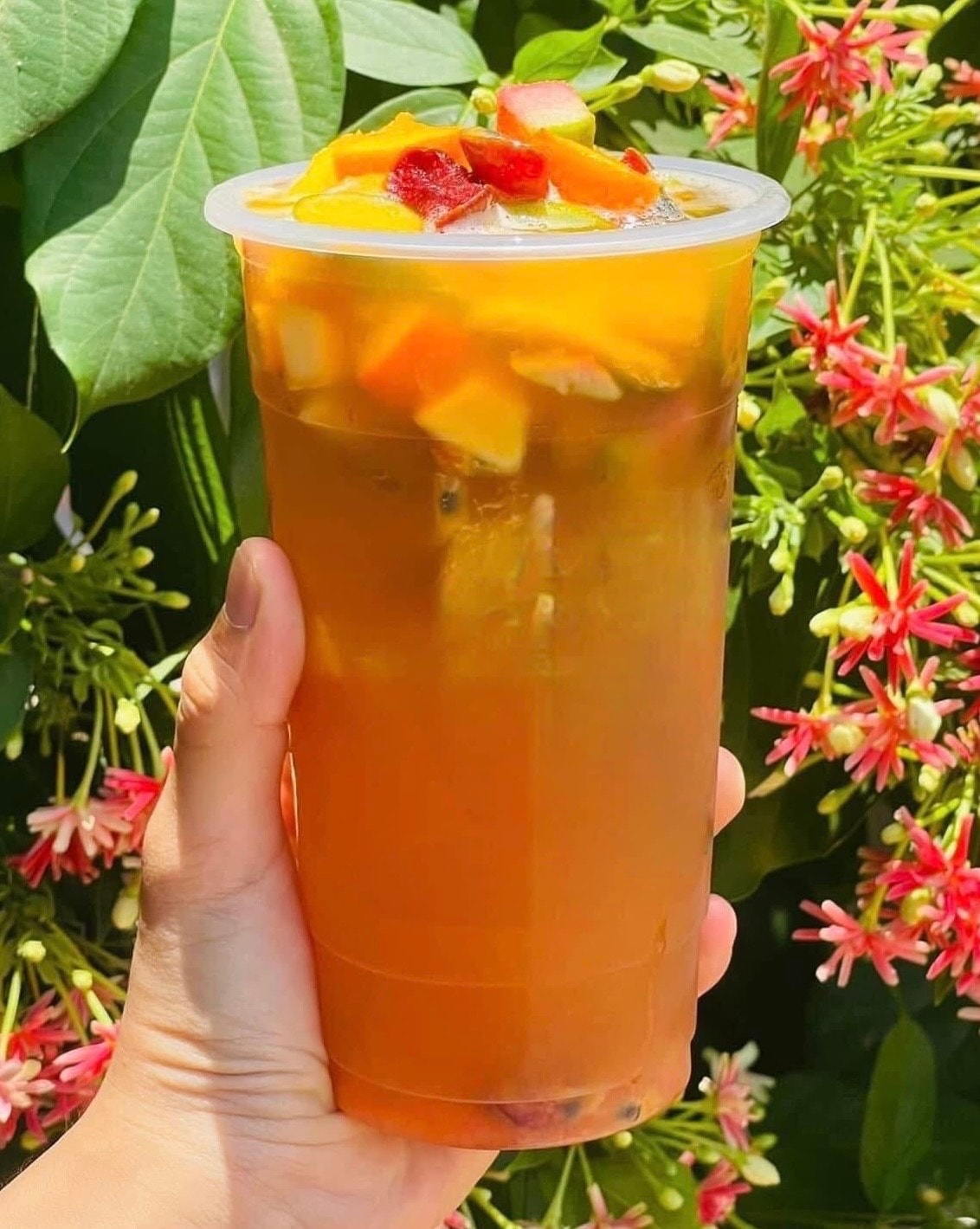 Hình ảnh trà nhiệt đới SIZE lớn 700ml