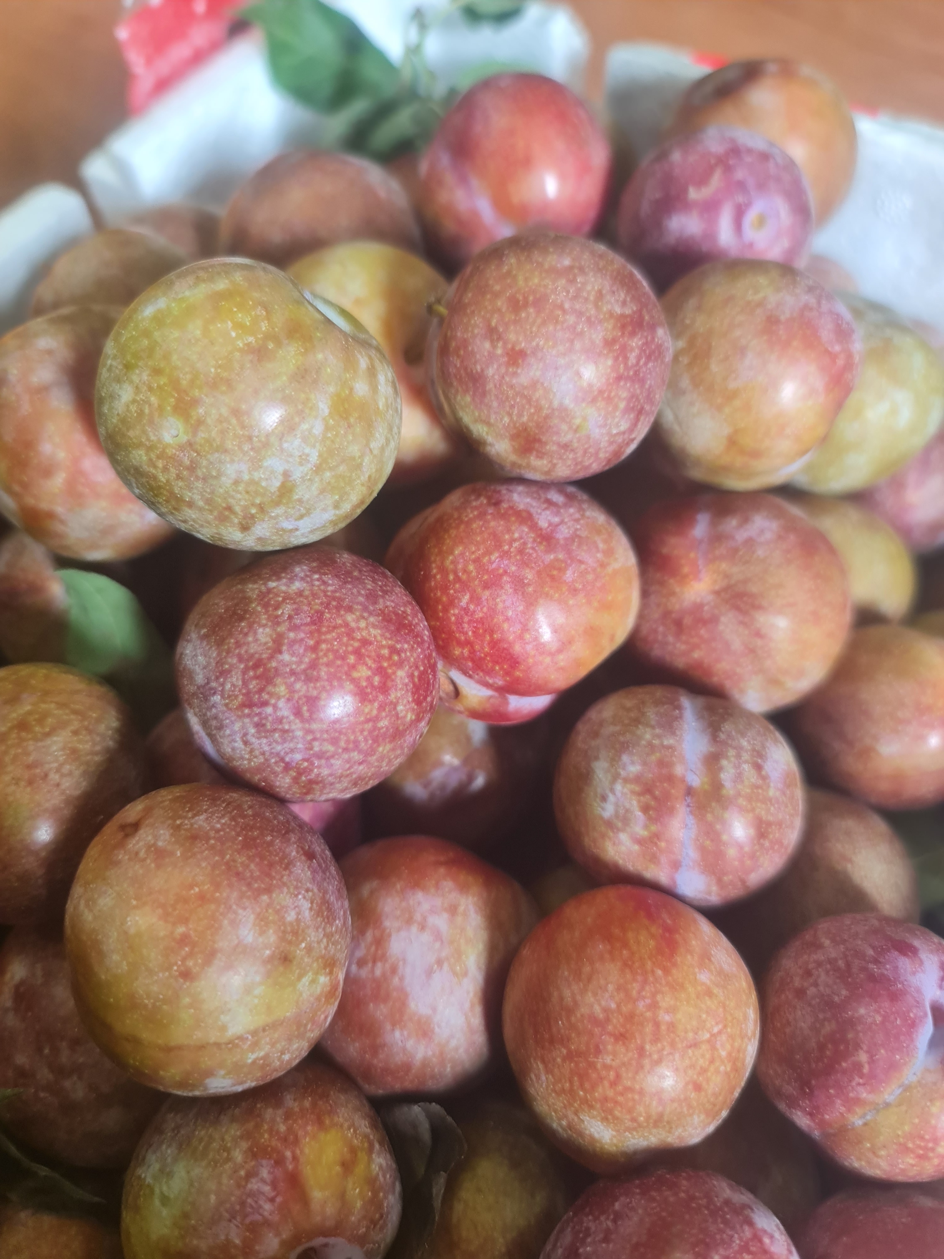 Hình ảnh MẬN HÀ NỘI