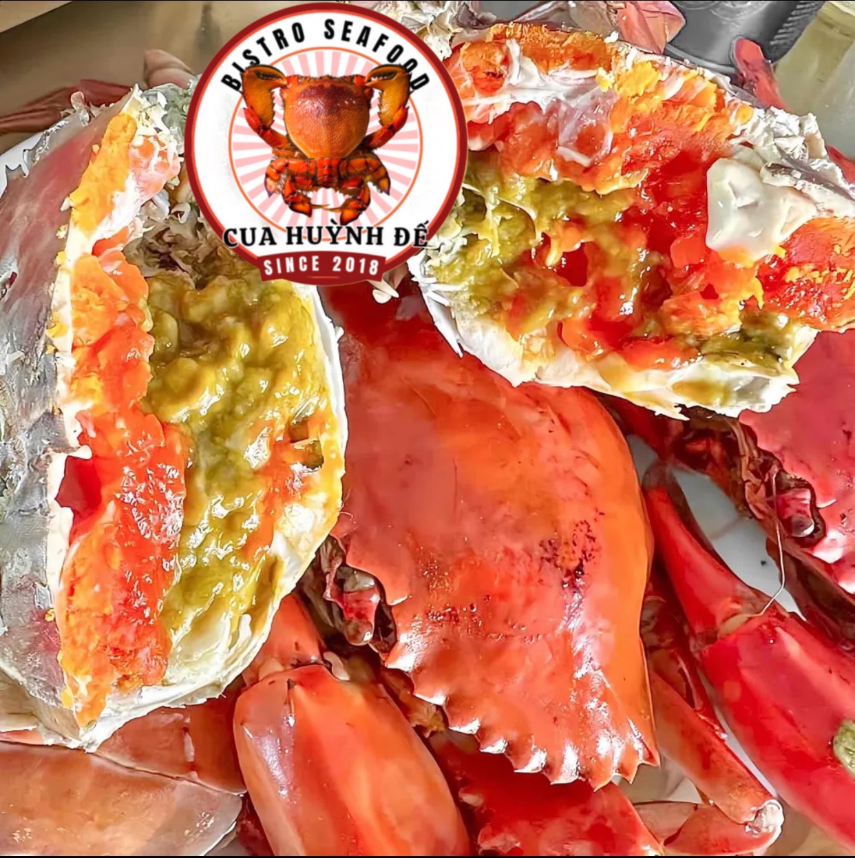 Hình ảnh 1 Cua Gạch Size Vừa (250~300gr/1 Con)