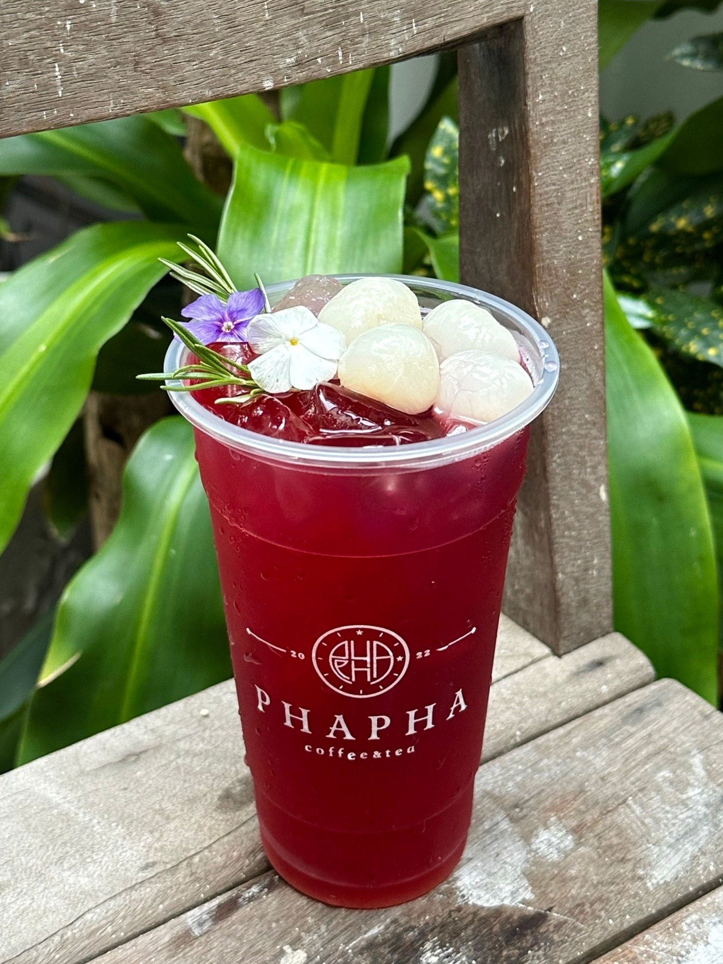 Hình ảnh Trà Cherry Long Nhãn 
