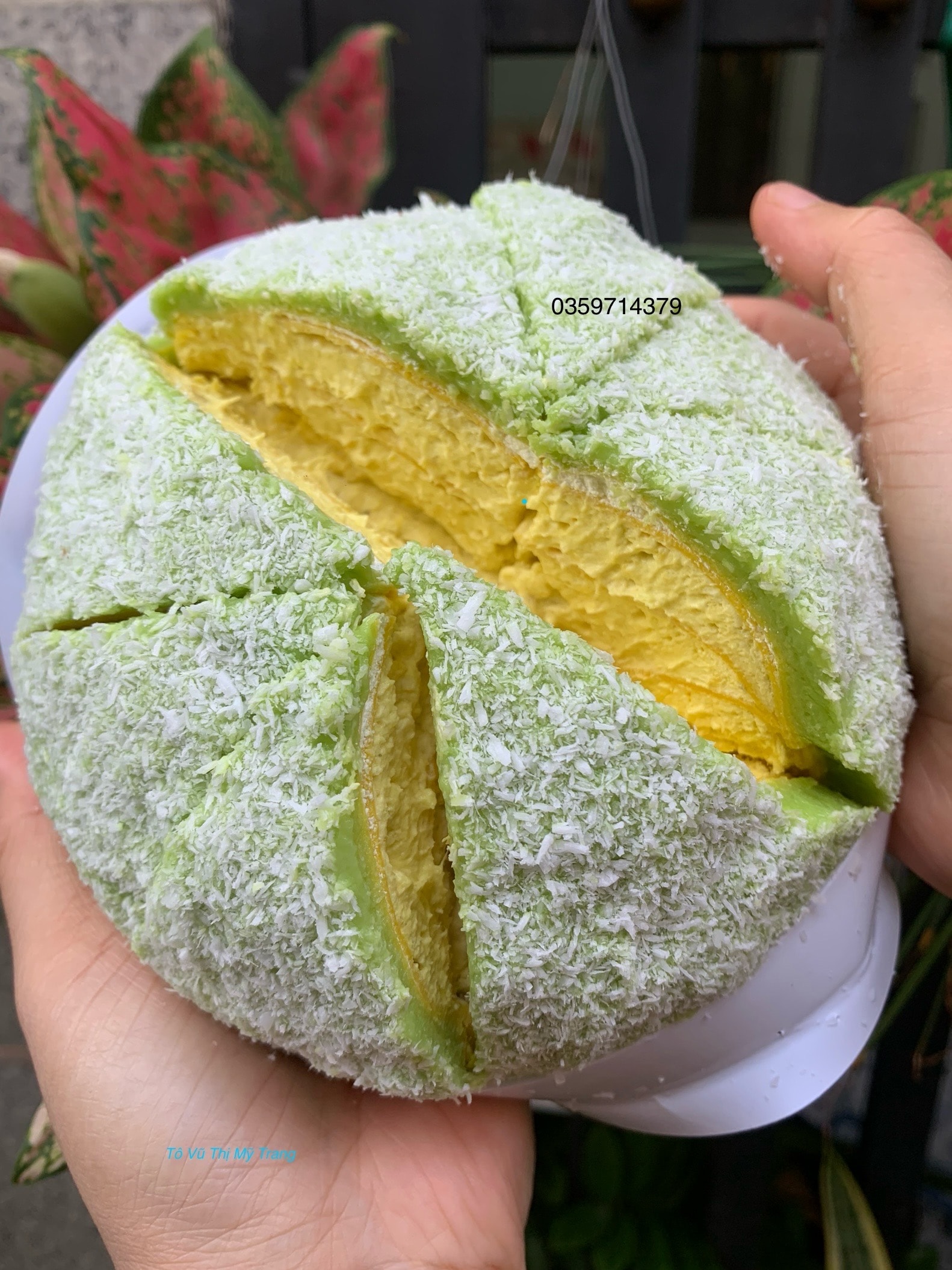 Hình ảnh Bánh Phú Sĩ lá dứa size 14