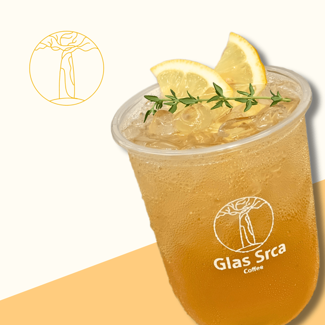 Hình ảnh Kombucha truyền thống - size M