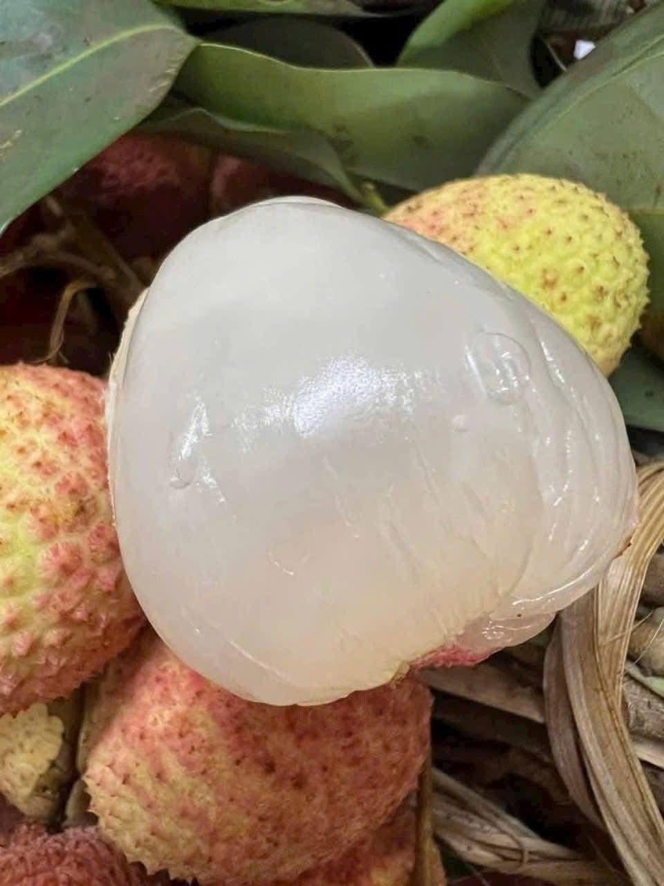 Hình ảnh Vải nếp Thanh Hà hộp 1kg (hàng bay)