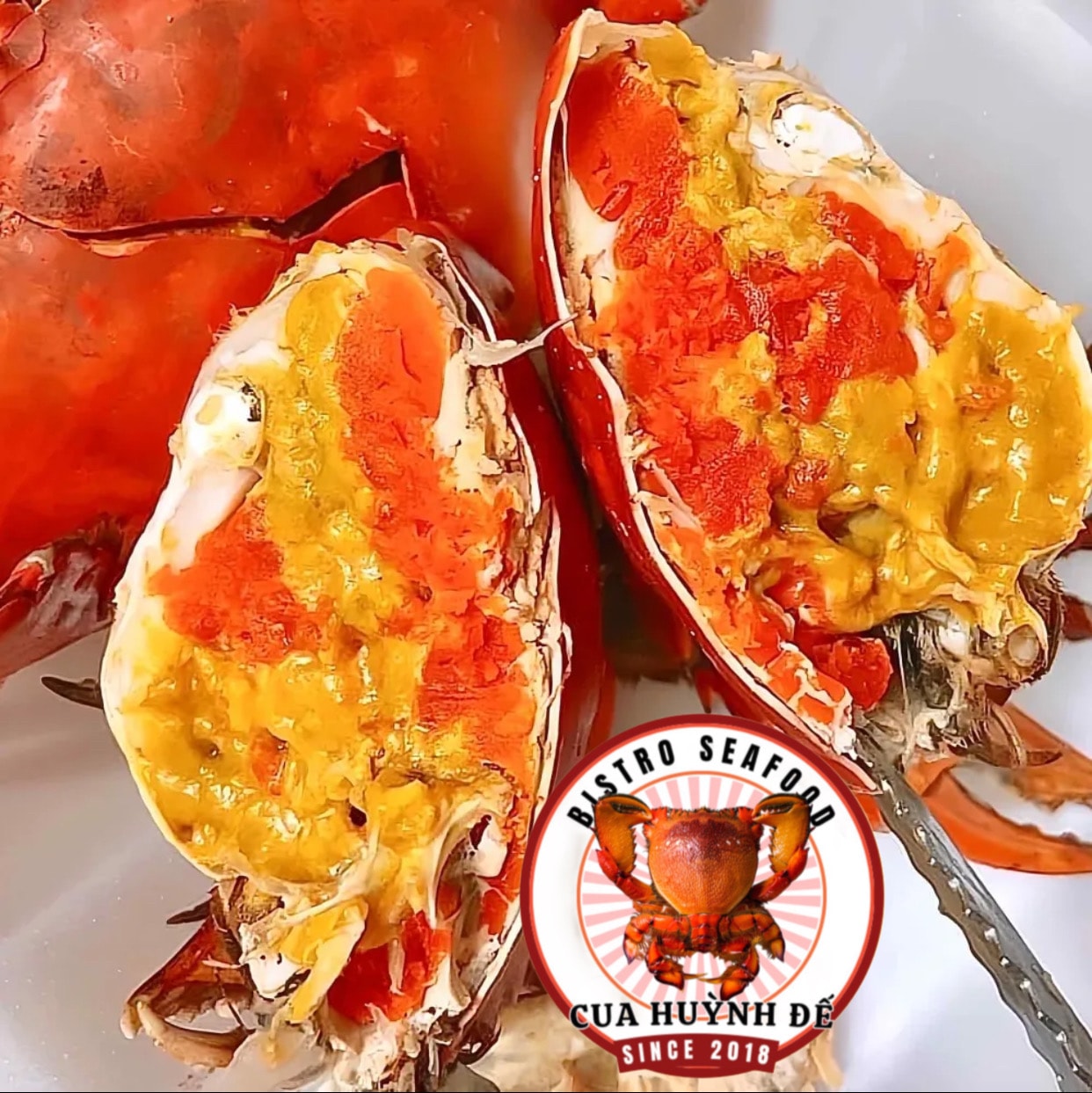 Hình ảnh 1 Cua Gạch Size Lớn (350~450gr/1 Con)