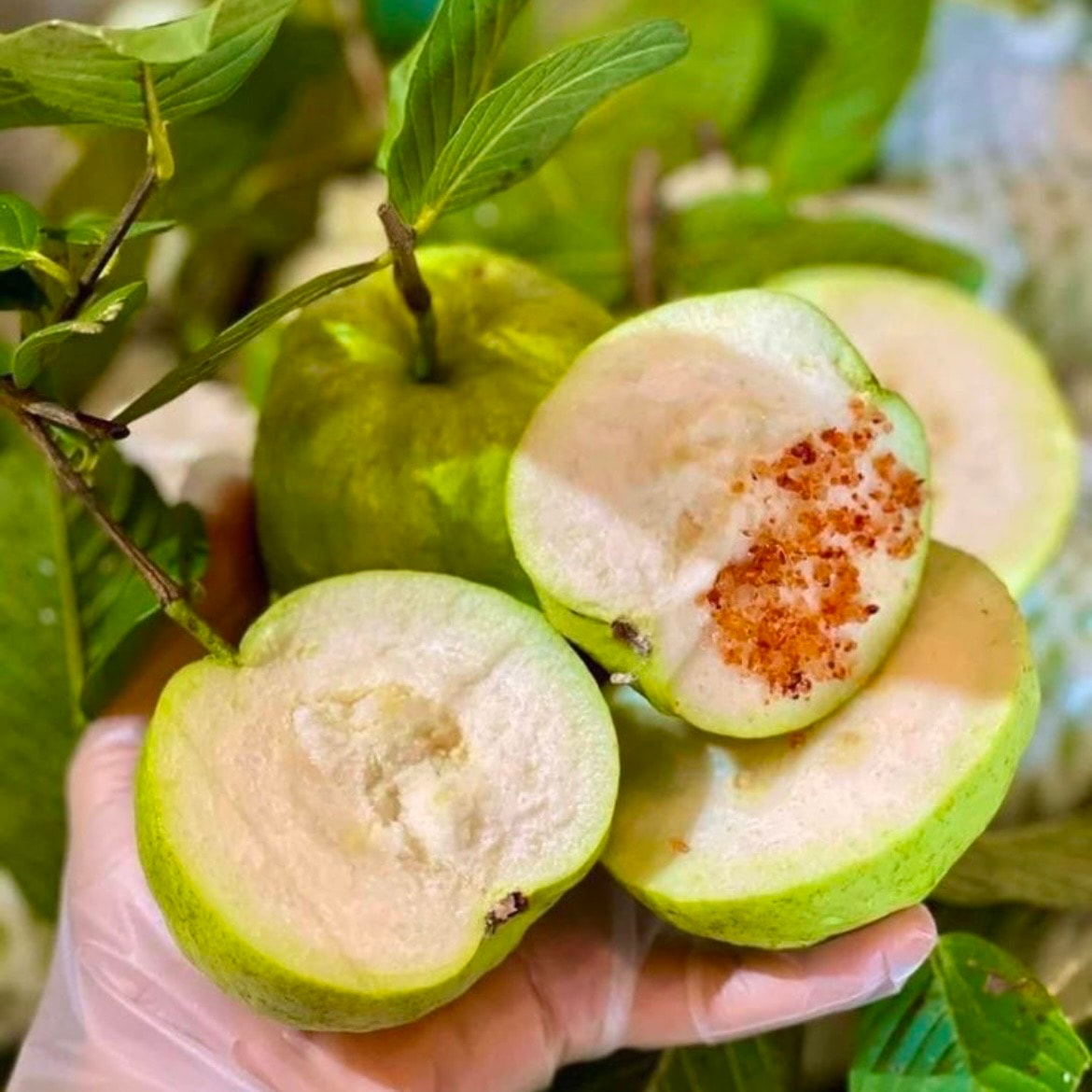 Hình ảnh Ổi Nữ Hoàng cắt sẵn 350g