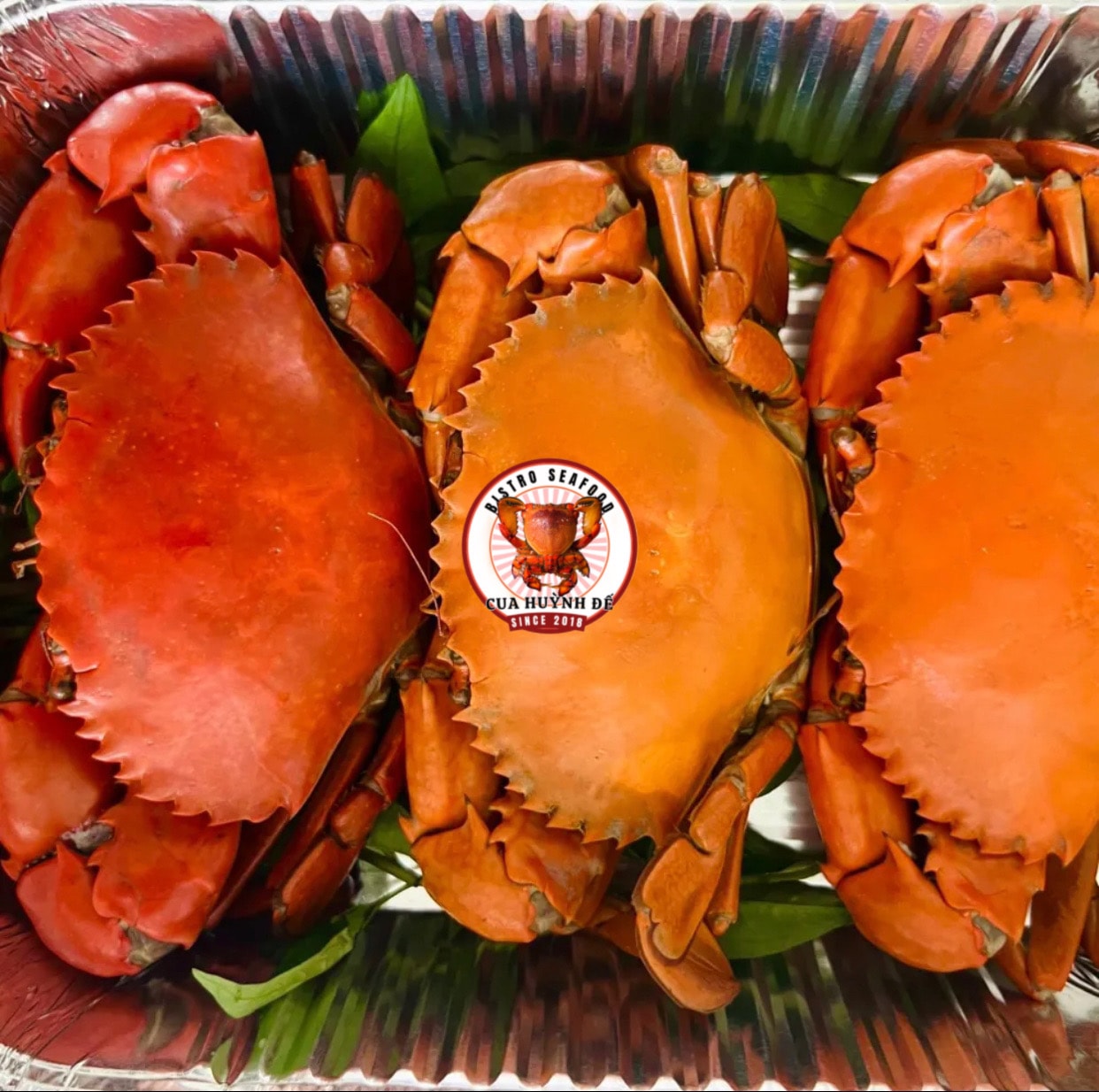 Hình ảnh 3 Cua Thịt Size Nhỏ Hấp 