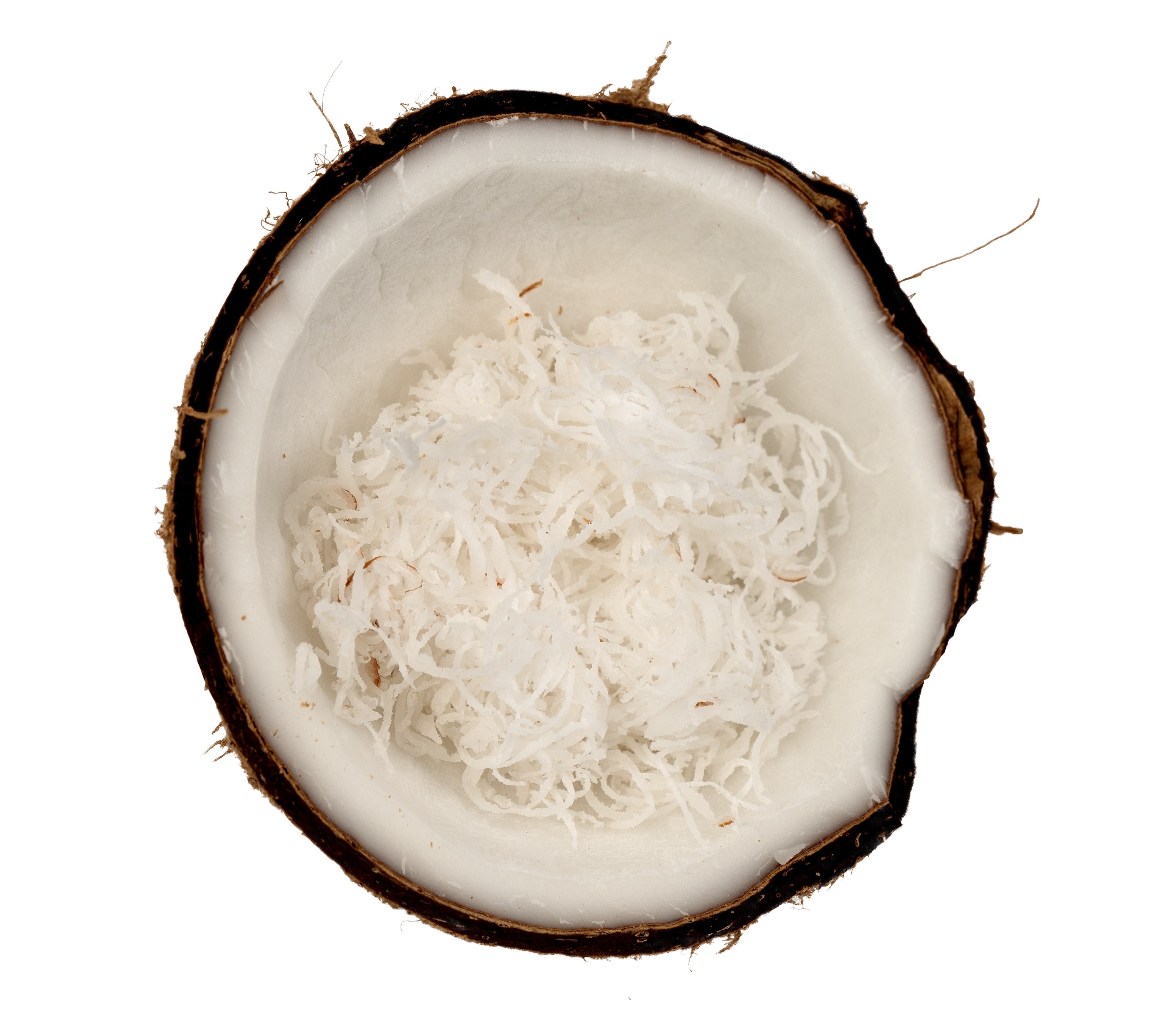 Hình ảnh Dừa Bào (Shredded Coconut)