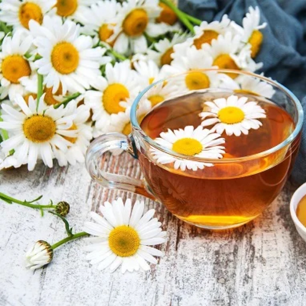 Hình ảnh Trà Hoa Cúc Mật Ong
