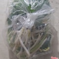 Hình ảnh Rau Thêm