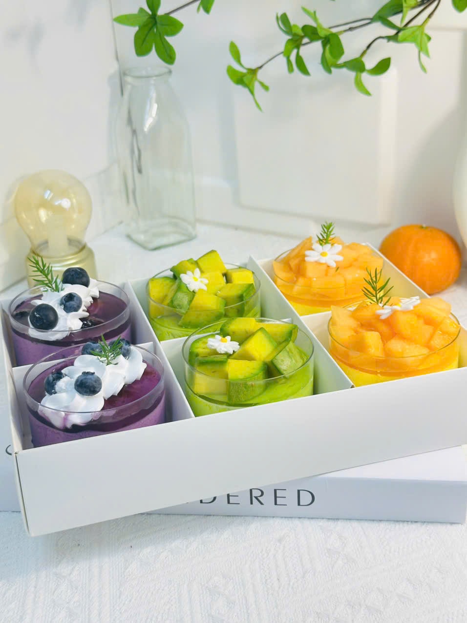 Hình ảnh Set 6 bánh 3 vị việt quất - bơ - xoài