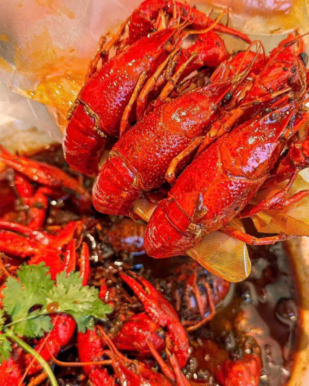 Hình ảnh Tôm hùm đất / Crawfish 