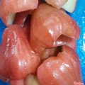 Hình ảnh Mận