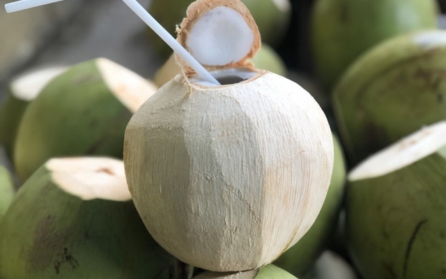 Hình ảnh Vua Dừa - Dừa Xiêm Bến Tre - Đường Láng