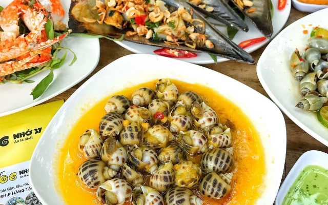 Hình ảnh Ốc Nhớ 37 - Đội Cấn