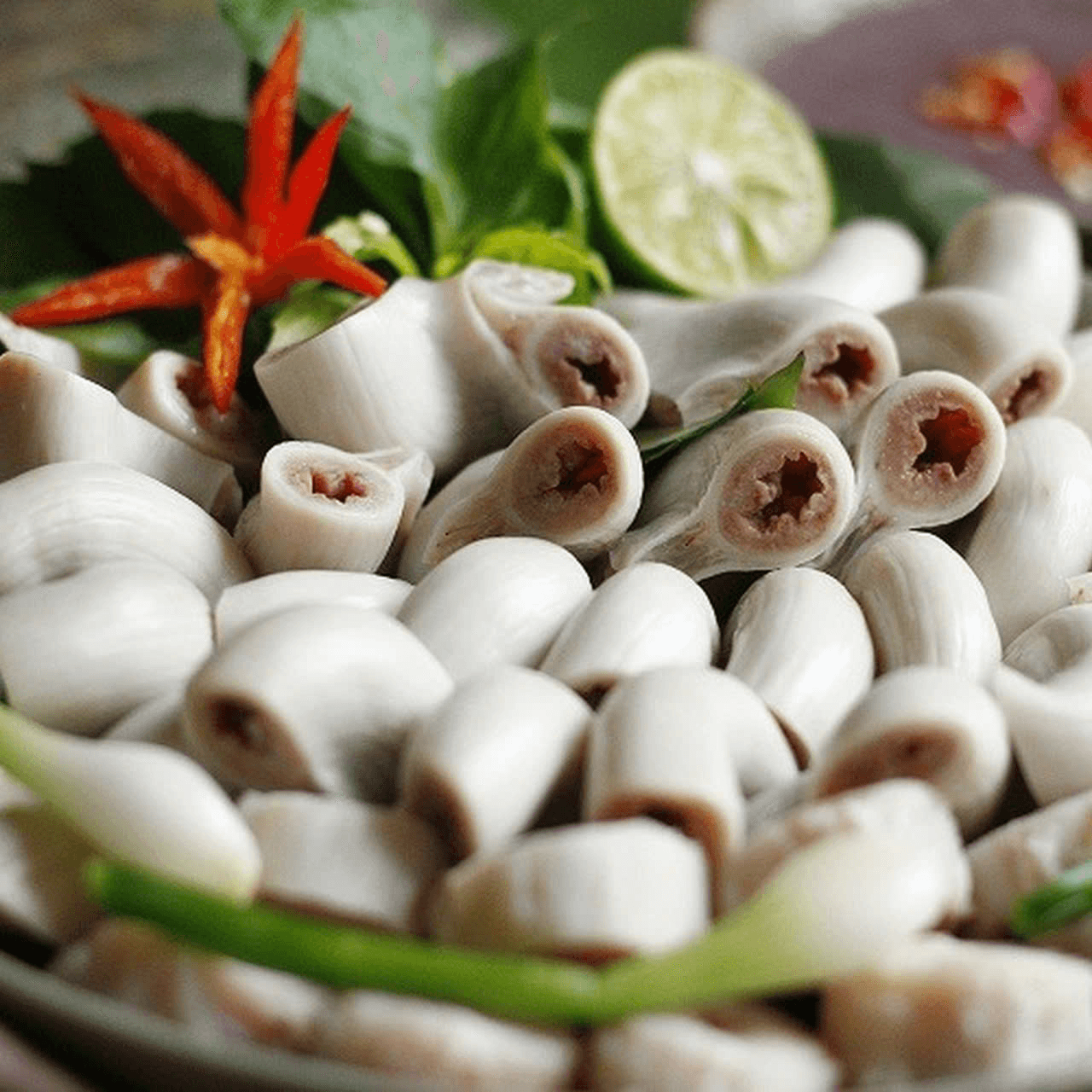 Hình ảnh Lòng Trần Đức Minh - Trần Quốc Vượng