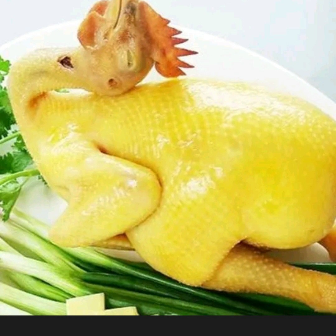 Hình ảnh Gà Ta Kim Cúc - Phan Đình Phùng
