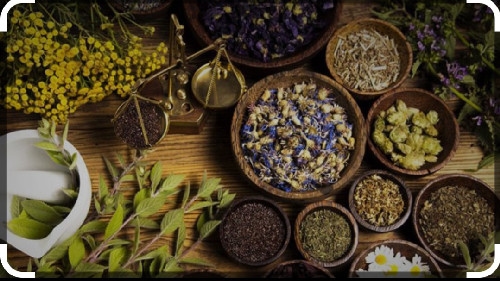 Hình ảnh Tiệm Nước Sâm Thiên Ý - Nguyễn Chí Thanh