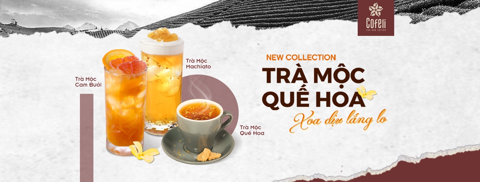 Hình ảnh Cofeli - Tea & Coffee - 47 Nguyễn Tuân