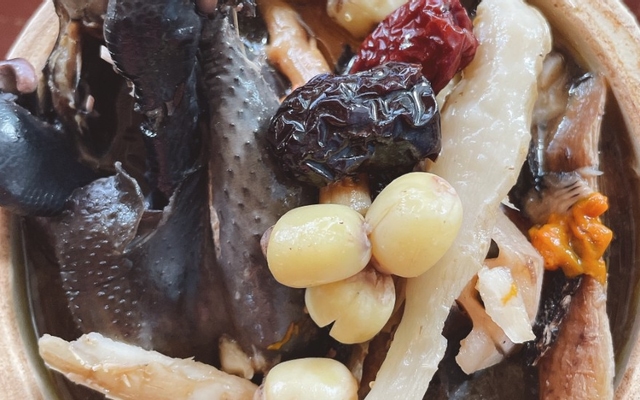 Hình ảnh Gà ác XuKa - Lê Văn Lương