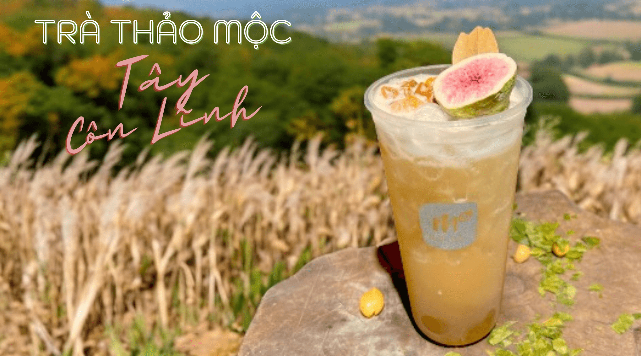 Hình ảnh Main Tea - Tiệm Trà Trái Cây Tươi
