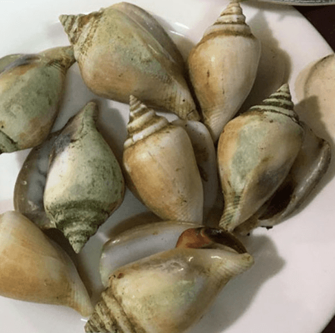 Hình ảnh Ốc Vân Chợ Bến Thành - Nguyễn An Ninh