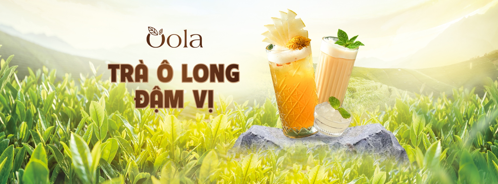 Hình ảnh Oola Trà Ô Long Đậm Vị - Nguyễn Cơ Thạch