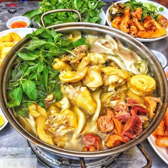 Hình ảnh Lẩu Gà Lá É Đất Phú - Phạm Văn Đồng