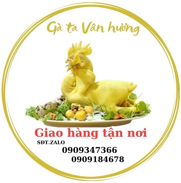 Hình ảnh Gà Ta Vân Hương - Trần Phú